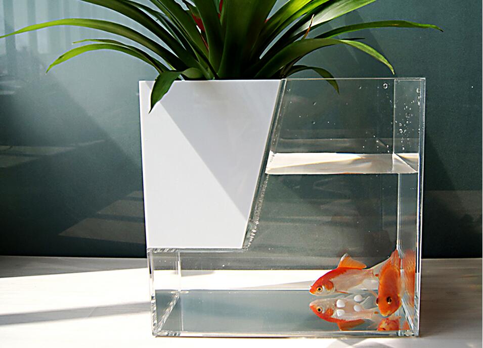 亞克力魚缸圖片 亞克力魚缸圖片